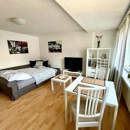 Nice And Comfortable, Centrally Located Apartment Rheinfelden  Exteriér fotografie