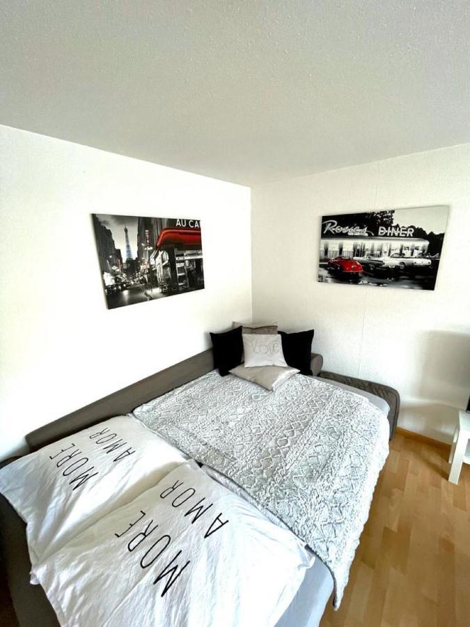 Nice And Comfortable, Centrally Located Apartment Rheinfelden  Exteriér fotografie